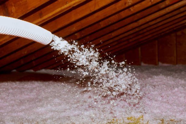Best Attic Insulation Installation  in Murray, KY