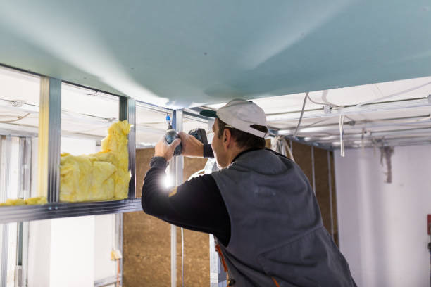 Best Crawl Space Insulation  in Murray, KY