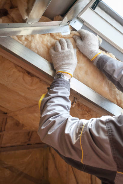 Best Professional Insulation Contractor  in Murray, KY
