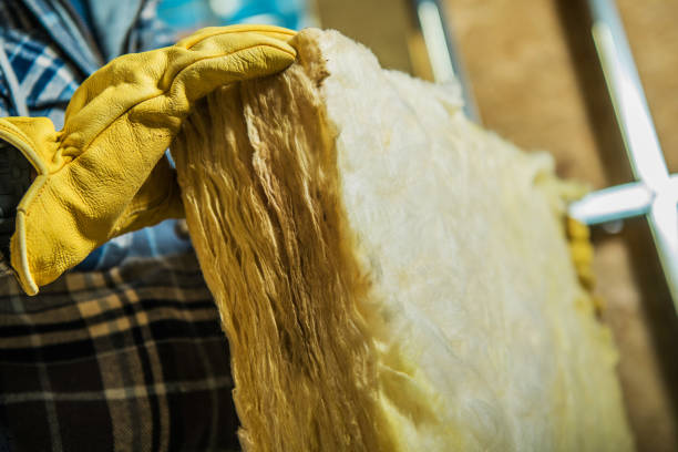 Best Energy-efficient Insulation  in Murray, KY