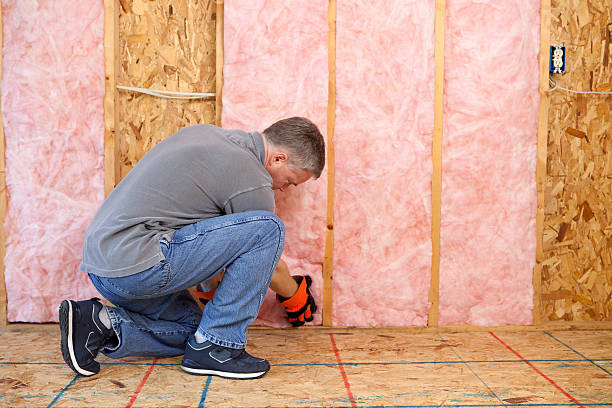 Best Blown-in Insulation  in Murray, KY